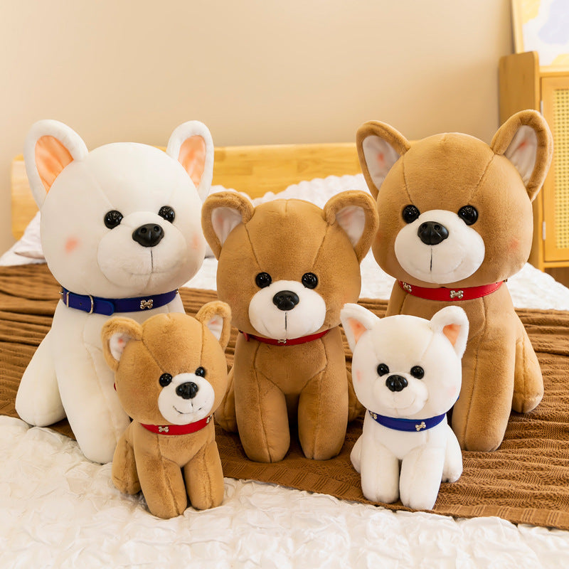 Plush Puppy gift