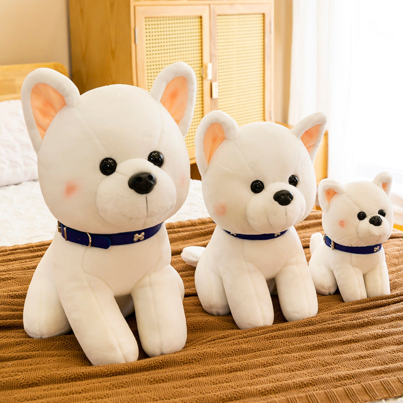 Plush Puppy gift