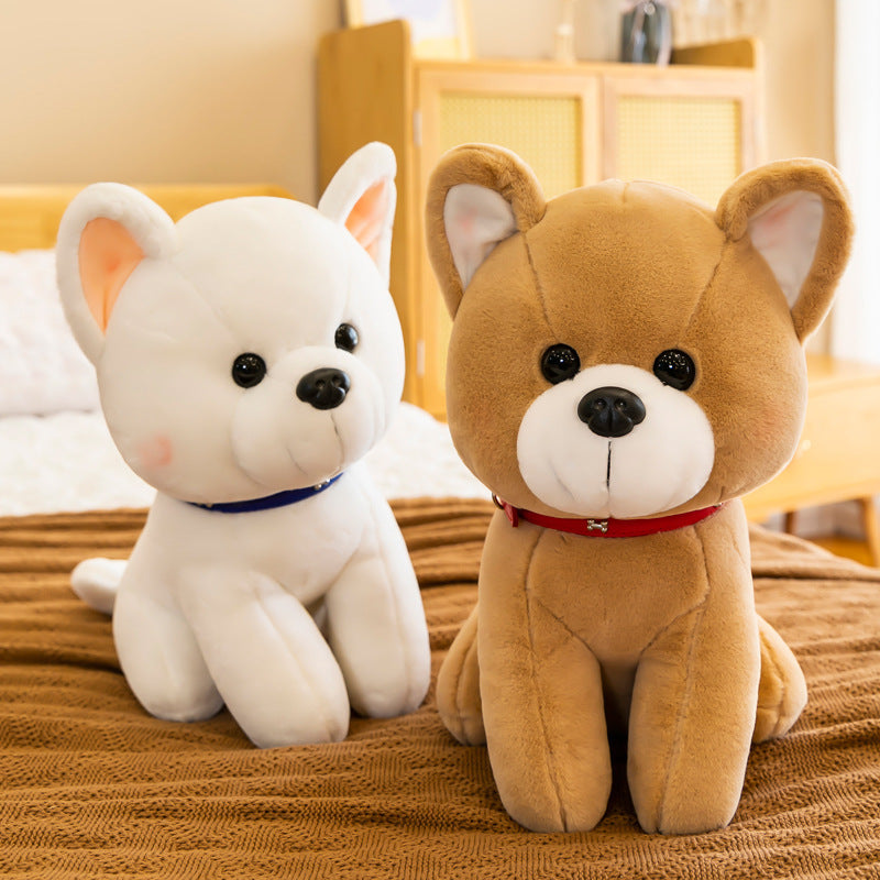 Plush Puppy gift